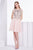 Jadore - J14078 Beaded Bateau Chiffon A-line Dress In Pink