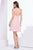Jadore - J14081 Beaded Deep V-neck A-line Dress In Pink