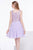 Jadore - J14083 Lace V-neck Chiffon A-line Dress In Purple