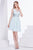 Jadore - J14083 Lace V-neck Chiffon A-line Dress In Green