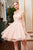 Jadore - J14093 Strapless Embroidered Tulle A-line Dress In Pink