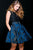 35282 Sleeveless Lace Floral Print A-line Dress