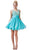 Appliqued Illusion Scoop Neck Cocktail Dress