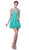 Appliqued Illusion Scoop Neck Cocktail Dress