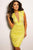Sheer Plunging Neckline Lace Sheath Dress 20090