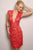 Sheer Plunging Neckline Lace Sheath Dress 20090