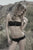 Karry Bandeau
