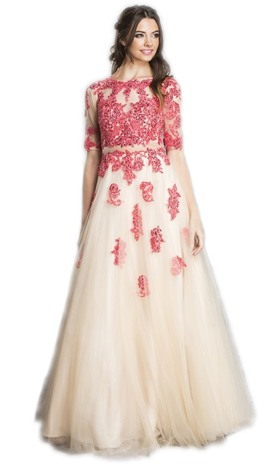 Embroidered Sheer A-Line Evening Dress