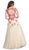 Embroidered Sheer A-Line Evening Dress