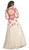 Embroidered Sheer A-Line Evening Dress