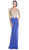 Embellished Fitted V-Neck Evening Dress