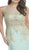 Gold Embellished Sheer Evening Dress