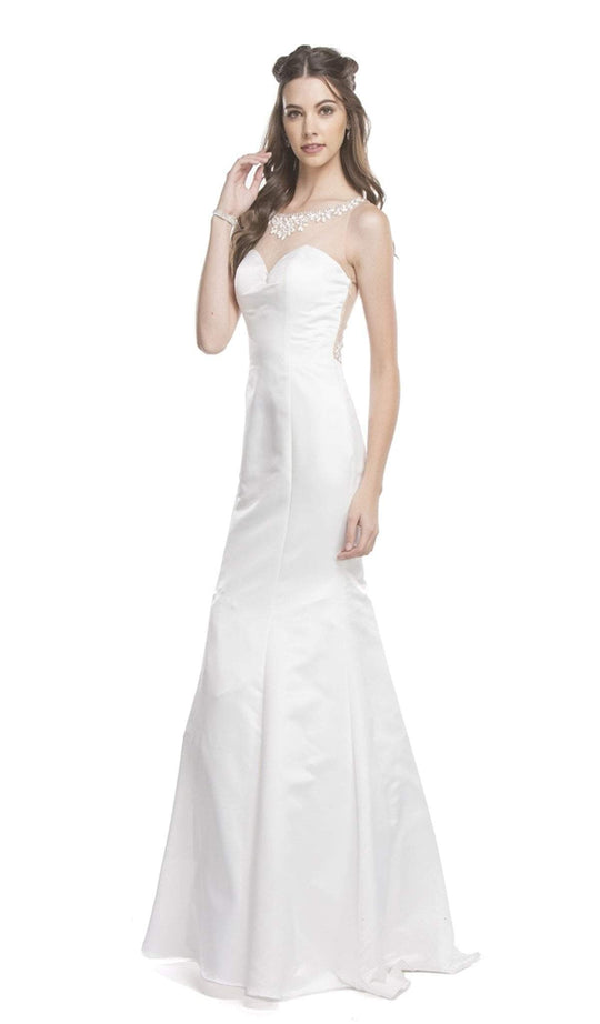 Sheer Fitted Trumpet Evening Gown