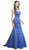 Sheer Fitted Trumpet Evening Gown