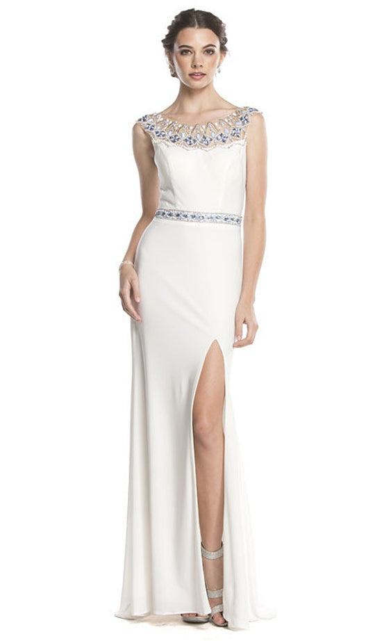Fitted Illusion Bateau Evening Dress