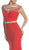 Embellished Illusion Bateau Neck Evening Dress
