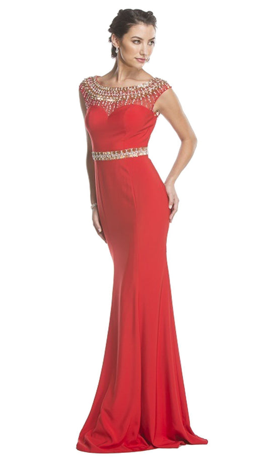 Embellished Illusion Bateau Neck Evening Dress