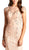 Bejeweled Lace Sheath Evening Dress