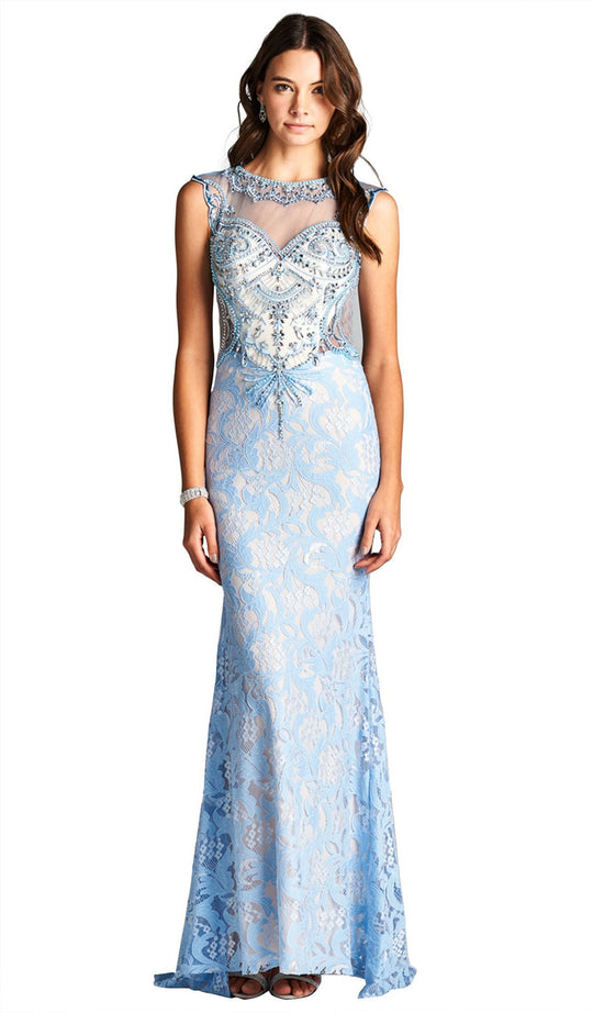 Embellished Illusion Bateau Evening Dress