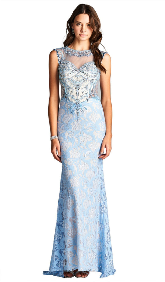 Embellished Illusion Bateau Evening Dress