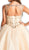 Embellished Illusion Scoop Quinceanera Ballgown