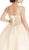 Applique Illusion Neck Quinceanera Ballgown