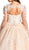 Lace Long Sleeve V-neck Quinceanera Ballgown