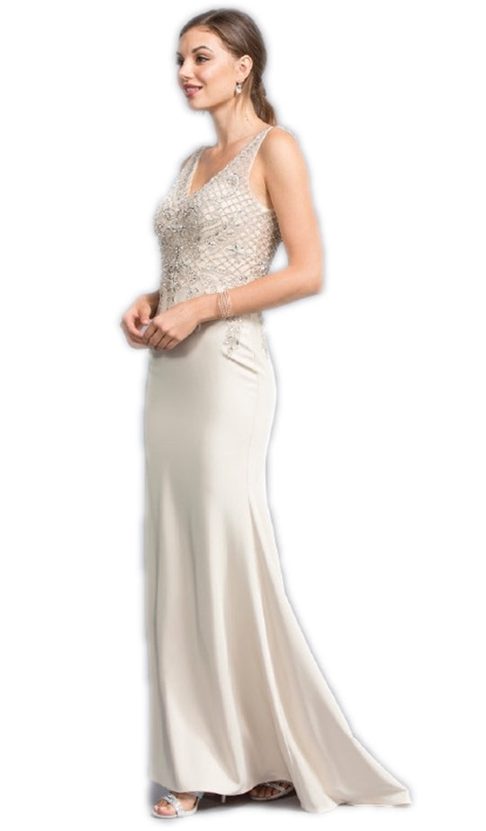 Applique V-neck Fitted Prom Dress