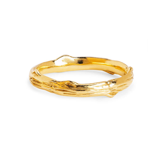 Logan Hollowell - Rose Thorn Solid Band in Yellow Gold