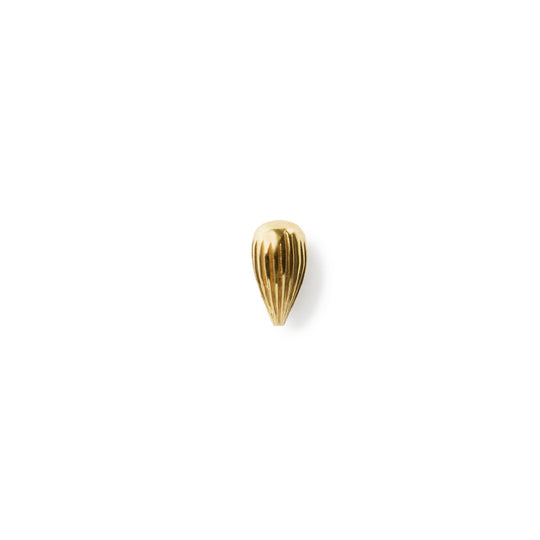 Seed of Joy Stud