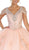 May Queen - LK116 Jeweled Lace Bodice Ruffled Ballgown In Pink