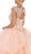 May Queen - LK118 Cap Sleeve Scalloped Illusion V-Neck Gown  In Pink