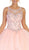 May Queen - LK122 Illusion Scoop Beaded Applique Ballgown In Pink