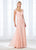 Cameron Blake - 118675 Queen Anne Lace Cap Sleeve Chiffon Evening Gown In Pink