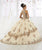 Quinceanera Collection - 26912 Beaded Lace Embellished  Tulle Ballgown In Yellow Gold and Neutral
