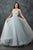 Rachel Allan - M644 Sleeveless Beaded Bodice Tulle Wedding Gown in Ivory/Light Blue