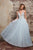 Rachel Allan - M645 Floral Applique V Neck Tulle Wedding Gown in Ice Blue/Multi