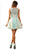 Lace Illusion Jewel A-line Cocktail Dress