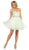 Crystal Embellished Strapless A-Line Cocktail Dress