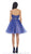 Flirty Laced Embellished Sweetheart A-Line Cocktail Dress