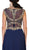 Embroidered Illusion Jewel A-line Evening Dress
