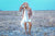 Union Of Angels - Mesquite Sandal