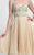 Sue Wong  - N4136 Sleeveless Embroidered Accordion Pleat A-Line Dress in Neutral