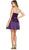 Sheer Cocktail Dress