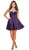 Nox Anabel - 6050 Sheer Cocktail Dress