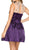 Sheer Cocktail Dress