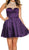 Sheer Cocktail Dress