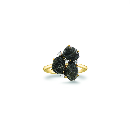 Organic Black Diamond with Diamond Accent Ring in 18k Yellow Gold
