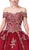 Dancing Queen - 1289 Lace Appliqued Quinceanera Dress In Red