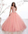 Fiesta Gowns - 56319 Embroidered Lace Tulle Ballgown